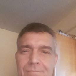   , 45, 