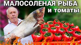 ����������� ������������ � ������ � ������� �� ������������� ����������� ������� �������