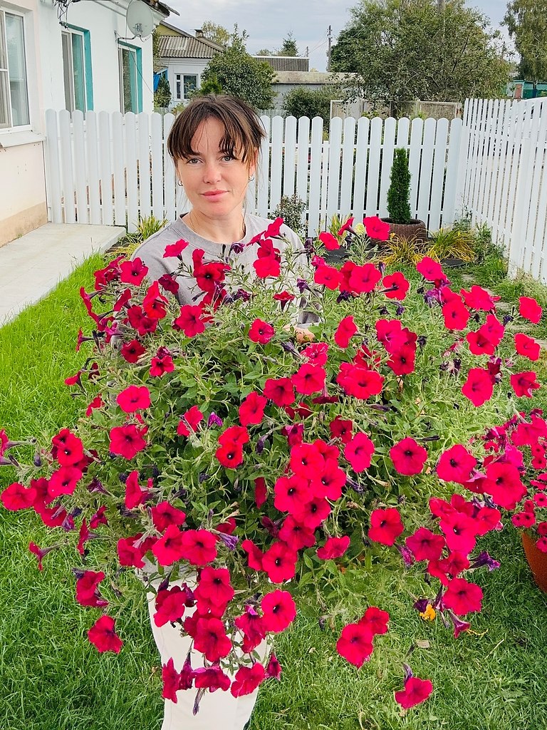 Подписывайтесь! Для тех, кто мечтает знать больше о петуниях. https://fotostrana.ru/away?to=/sl/0MJ6