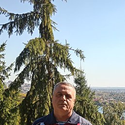 ������, ���������, 55 ���