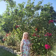 , 59 , 