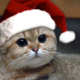 ������, ������, 35 ���