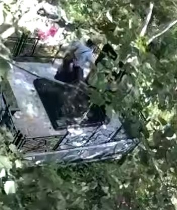 ����� � ���� �����: ����������� ���������� ������ �� ��������. �� �������� 62-������ ���������� ... - 2