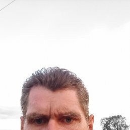 , 50, 