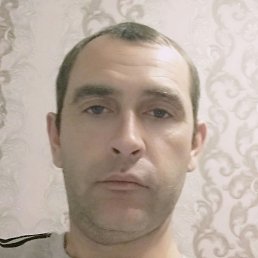 �����, ��������, 41 ���