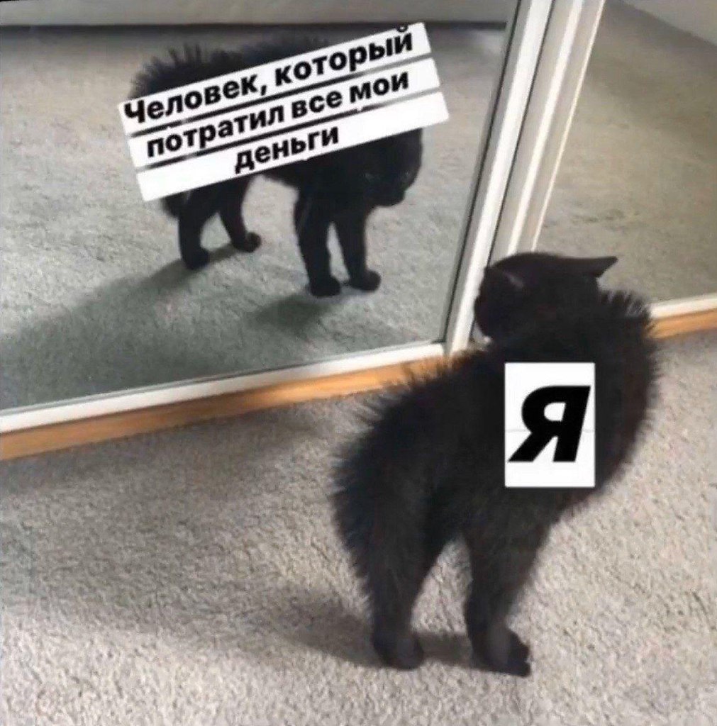    - 20  2024  13:41