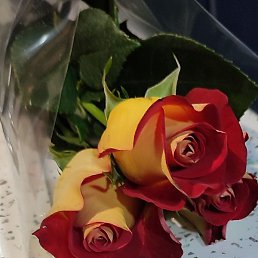 ����, �����, 58 ���