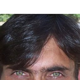 , 43, 