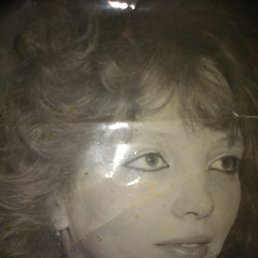 ����, �����-���������