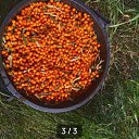  , , 44  -  9  2025