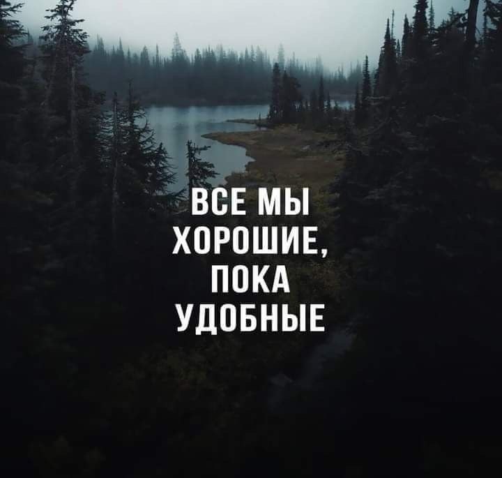   - 29  2025  21:41