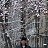  Dmitri, , 46  -  21  2024
