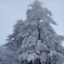    , -- -  22  2025    