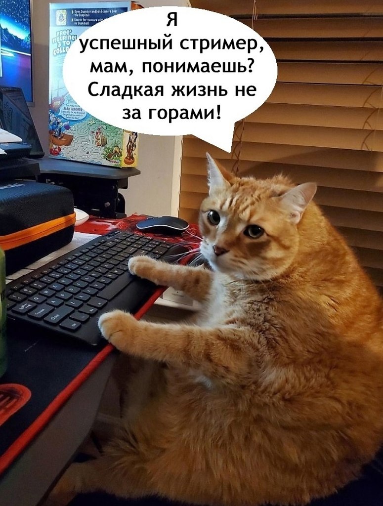     - 4
