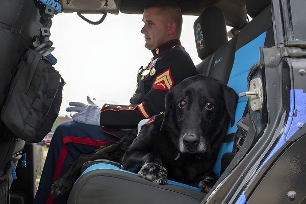  -  ,         -  ... - 2