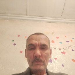 , 55, 