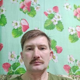 ���� ����, ������, 43 ���� - ��������� 11 ������� 2023