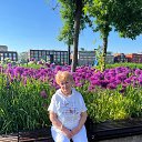 ���� ��������, ������, 76 ��� - ��������� 2 �������� 2024 � ������ ���� ����������