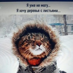 , , 19 