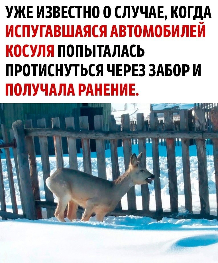      - 4
