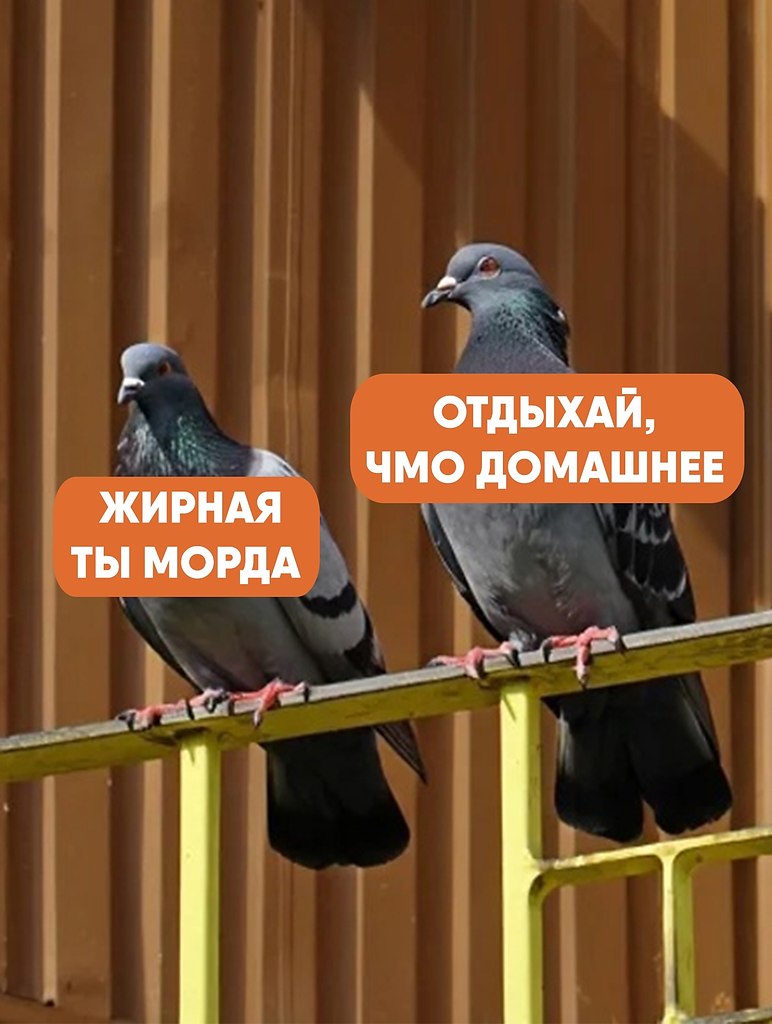       ,    .    , ... - 2