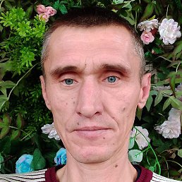 �����, ���������, 48 ���