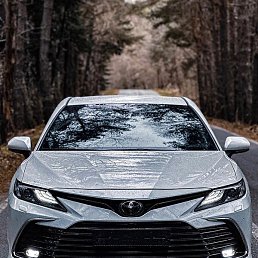 ������, ������, 49 ���