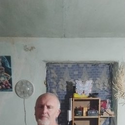 , 46, 