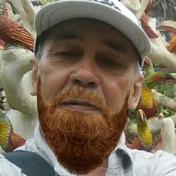 ���������, ���������, 81 ���