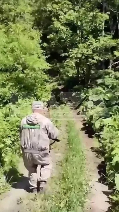 a aae a eecepa  o aa a  eoe,  ooo, a oa cacae ...