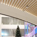 ���� ��������, ���������, 33 ���� - ��������� 27 ������� 2025