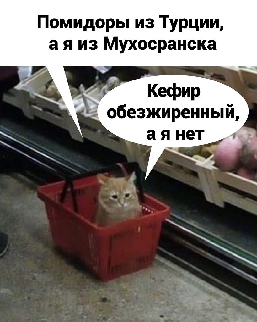 ��� ���� � ����� �� �� - 27 ��� 2026 � 15:55 - 2