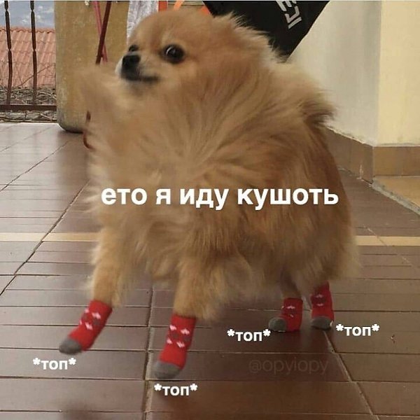    - 27  2024  22:23