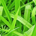 ���� ���������, �����������, 51 ��� - ��������� 15 ������ 2026 � ������ ���� ����������