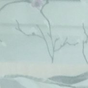 ����, 37 ���, ������