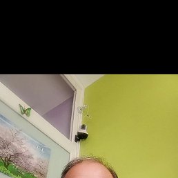 , 56, 