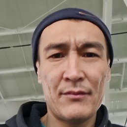 ������, ����-�����������, 41 ���