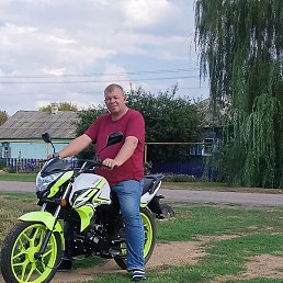 �������, �������, 49 ���