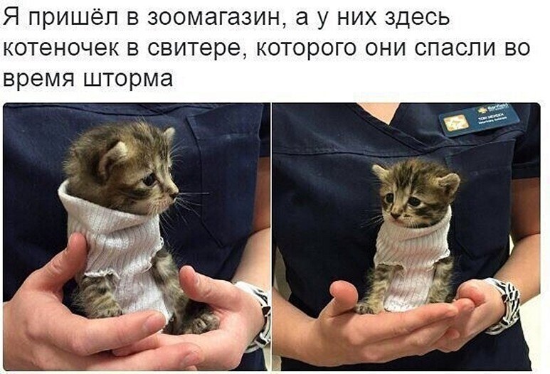 ? ,  ! - 18  2025  12:21