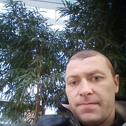 , 34 ,  