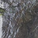  Vasili, , 50  -  14  2025    