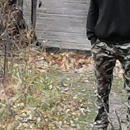 ������, �����������, 29 ���