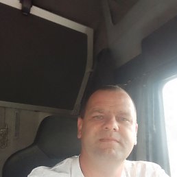 , 41 , 