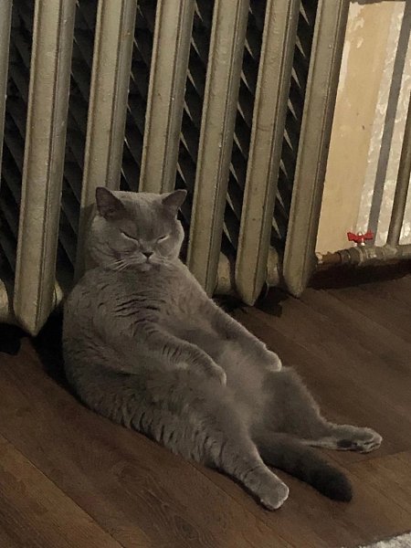  ,  !