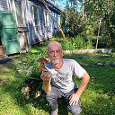 ���� �����, �����-���������, 61 ��� - ��������� 15 ������� 2025 � ������ ���� ����������