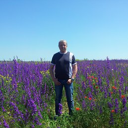 ��������, 58 ���, ��������