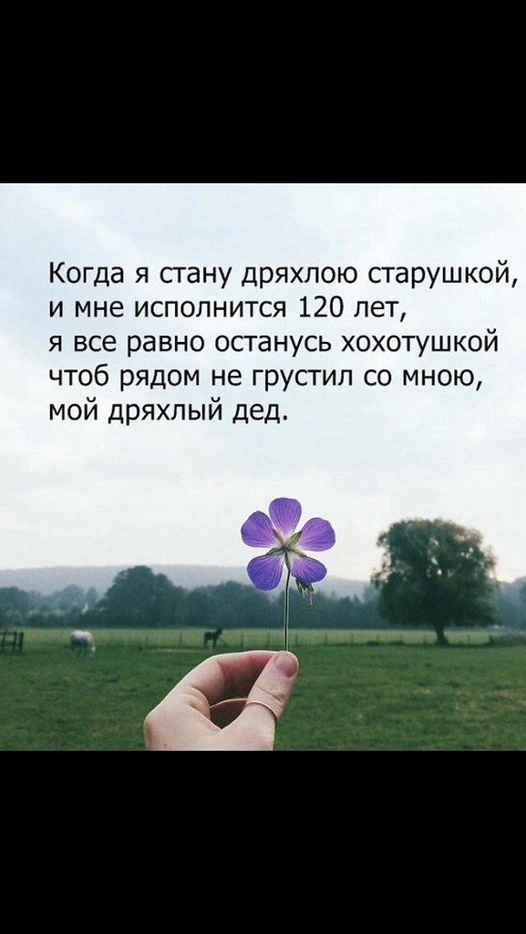     - 15  2025  20:41