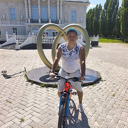 ��������, �����������, 54 ����