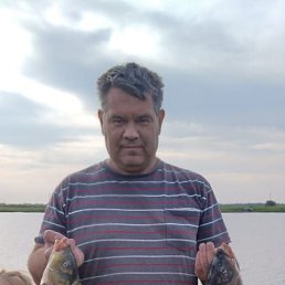 ������, 52 ����, �����