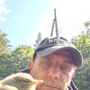, 45 , 